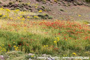 Rando de Aït Bouguemez à la vallée de l'Anergui - Maroc