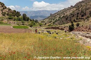 Trek from Aït Bouguemez to the Anergui Valley - Morocco