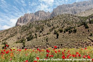 Rando de Aït Bouguemez à la vallée de l'Anergui - Maroc