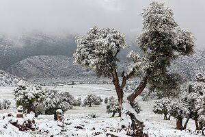 Trek from Aït Bouguemez to the Anergui Valley - Morocco