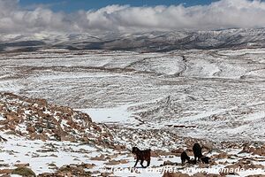 Rando de Aït Bouguemez à la vallée de l'Anergui - Maroc