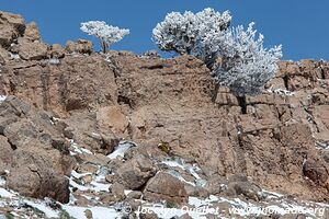 Trek from Aït Bouguemez to the Anergui Valley - Morocco