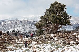 Trek from Aït Bouguemez to the Anergui Valley - Morocco