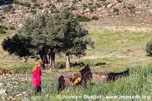 Trek from Aït Bouguemez to the Anergui Valley - Morocco