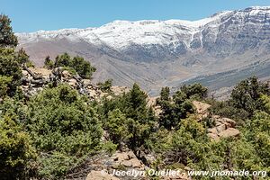 Rando de Aït Bouguemez à la vallée de l'Anergui - Maroc