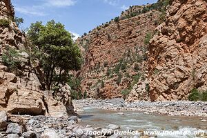 Rando de Aït Bouguemez à la vallée de l'Anergui - Maroc