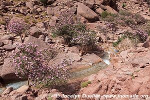 Trek from Tighza to Ighrem Akdim (High Atlas) - Morocco