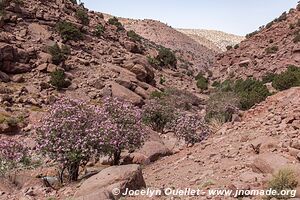 Trek from Tighza to Ighrem Akdim (High Atlas) - Morocco