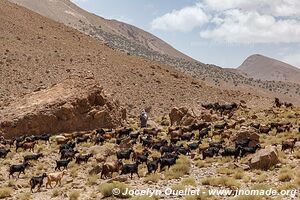 Trek from Tighza to Ighrem Akdim (High Atlas) - Morocco