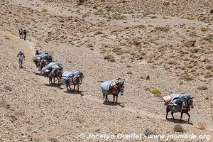 Rando de Tighza à Ighrem Akdim (Haut Atlas) - Maroc