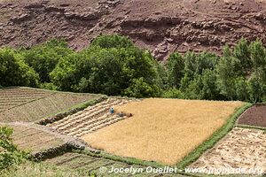 Trek from Tighza to Ighrem Akdim (High Atlas) - Morocco