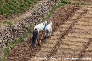 Trek from Tighza to Ighrem Akdim (High Atlas) - Morocco