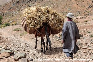 Trek from Tighza to Ighrem Akdim (High Atlas) - Morocco