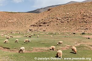 Trek from Tighza to Ighrem Akdim (High Atlas) - Morocco