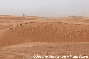 Trek in Erg Sahel - Morocco