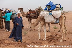 Trek in Erg Sahel - Morocco