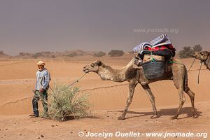 Trek in Erg Sahel - Morocco