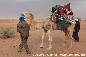 Trek in Erg Sahel - Morocco