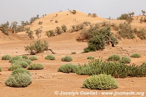 Rando dans l'Erg Sahel - Maroc