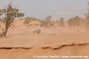 Trek in Erg Sahel - Morocco