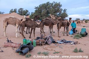 Trek in Erg Sahel - Morocco