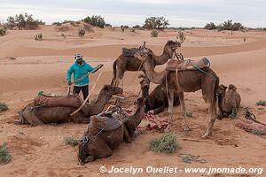 Rando dans l'Erg Sahel - Maroc