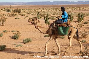 Trek in Erg Sahel - Morocco