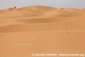 Rando dans l'Erg Sahel - Maroc