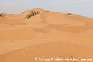 Rando dans l'Erg Sahel - Maroc