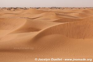 Trek in Erg Sahel - Morocco