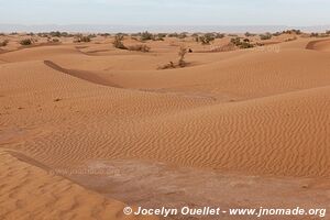 Trek in Erg Sahel - Morocco