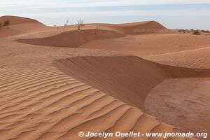 Trek in Erg Sahel - Morocco