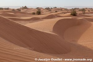 Trek in Erg Sahel - Morocco