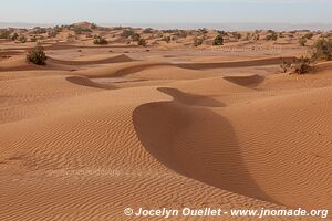 Trek in Erg Sahel - Morocco