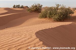 Rando dans l'Erg Sahel - Maroc