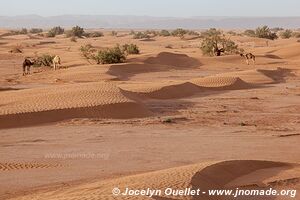 Trek in Erg Sahel - Morocco