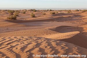 Trek in Erg Sahel - Morocco