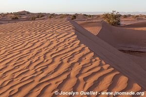 Rando dans l'Erg Sahel - Maroc