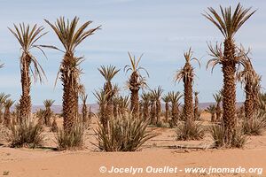 Rando dans l'Erg Sahel - Maroc