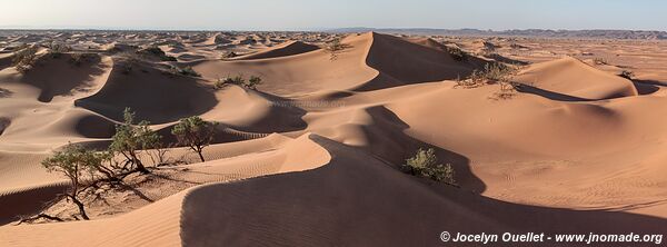 Trek in Erg Sahel - Morocco