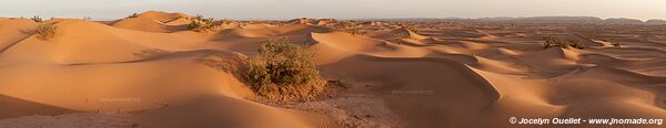 Trek in Erg Sahel - Morocco