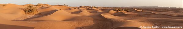 Rando dans l'Erg Sahel - Maroc