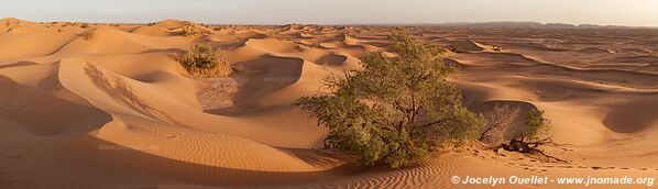 Rando dans l'Erg Sahel - Maroc