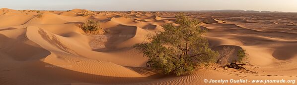 Trek in Erg Sahel - Morocco