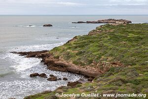 Île de Mogador - Essaouira - Maroc