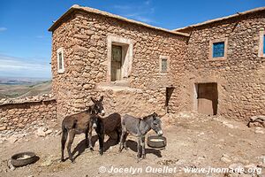 Asni Valley - Morocco