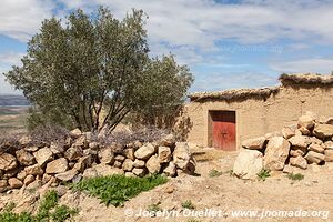 Vallée d'Asni - Maroc