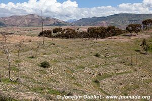 Asni Valley - Morocco