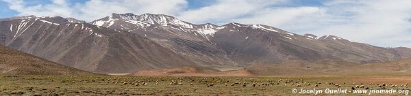 Rando de Aït Bouguemez à la vallée de l'Anergui - Maroc