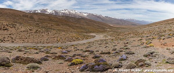 Trek from Aït Bouguemez to the Anergui Valley - Morocco